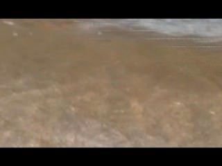 fkk strand mit haarigen weibern