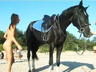 pferd am strand reiten